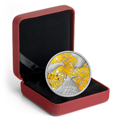 2014 $20 Silver Proof Coin - Maple Canopy (Autumn Allure)
